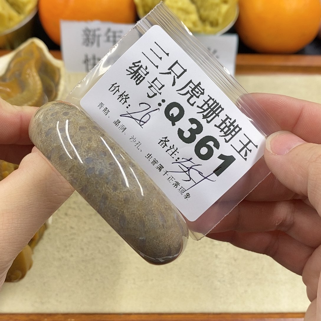 硅化珊瑚（珊瑚玉）1未镶嵌紫**财