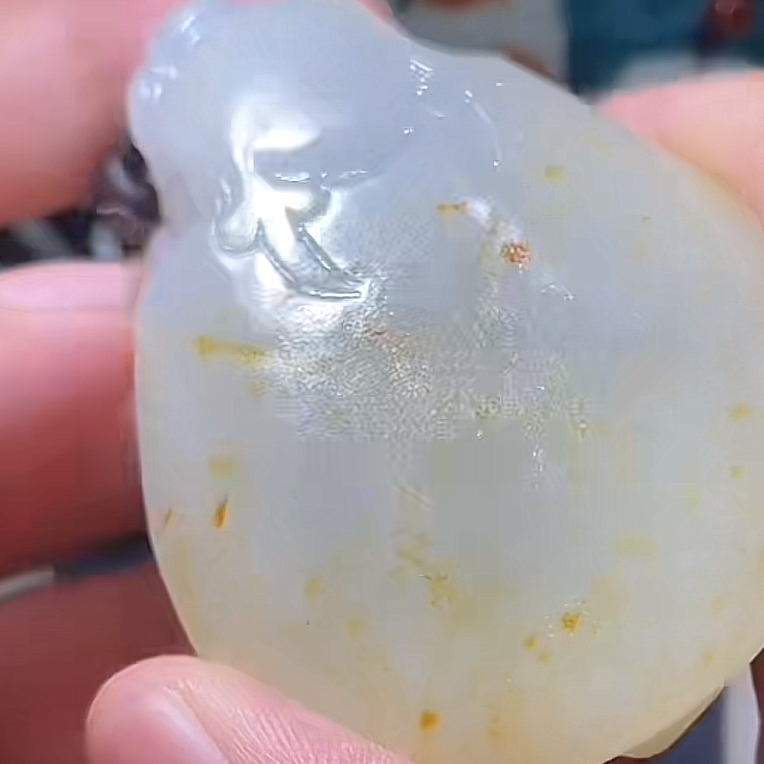 龙龟9.23cc多样性拍一发一