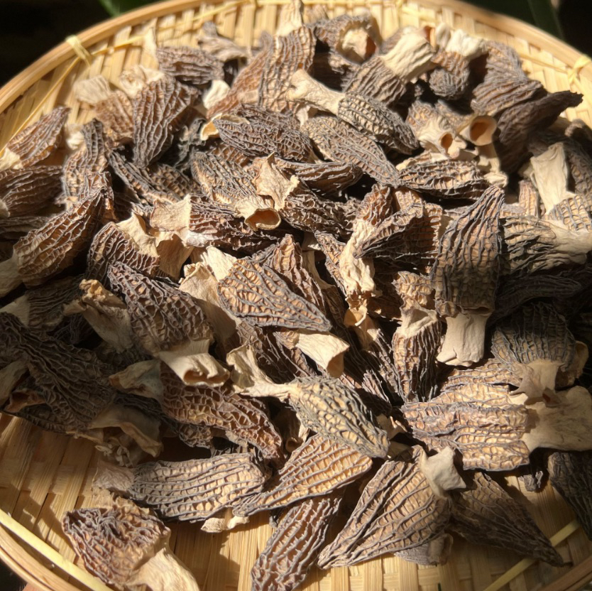 农家山货羊肚菌.