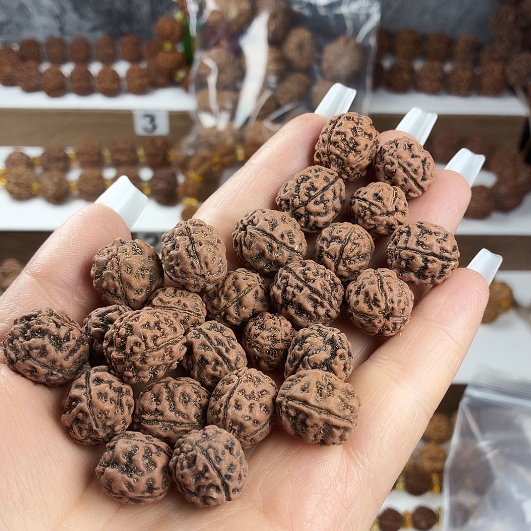 吊坠金刚菩提原生态小金刚盘龙纹