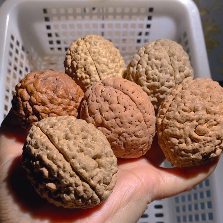 野生三瓣脑纹大金刚6颗