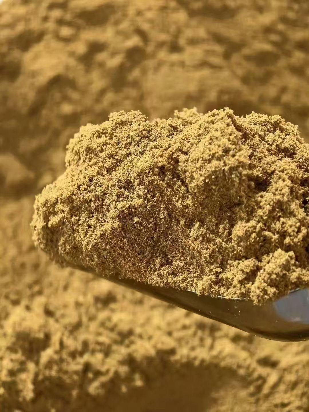 奇楠沉香粉100克