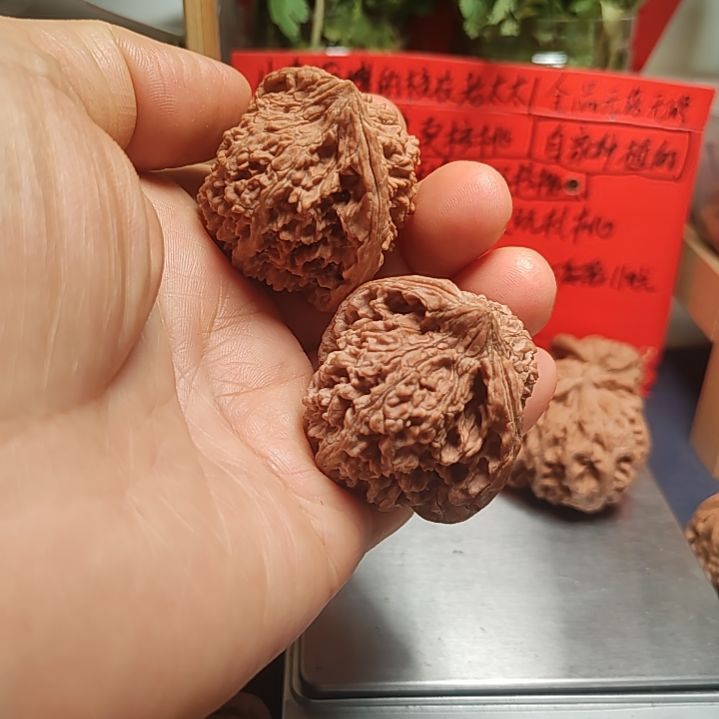 文玩核桃把件38的全品满天星