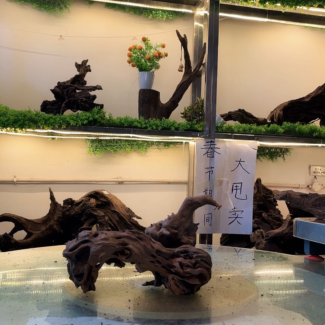 柚木沉木鱼缸造景