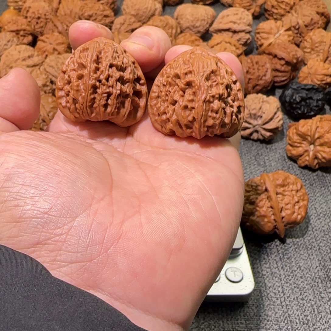 文玩核桃把件38白狮子