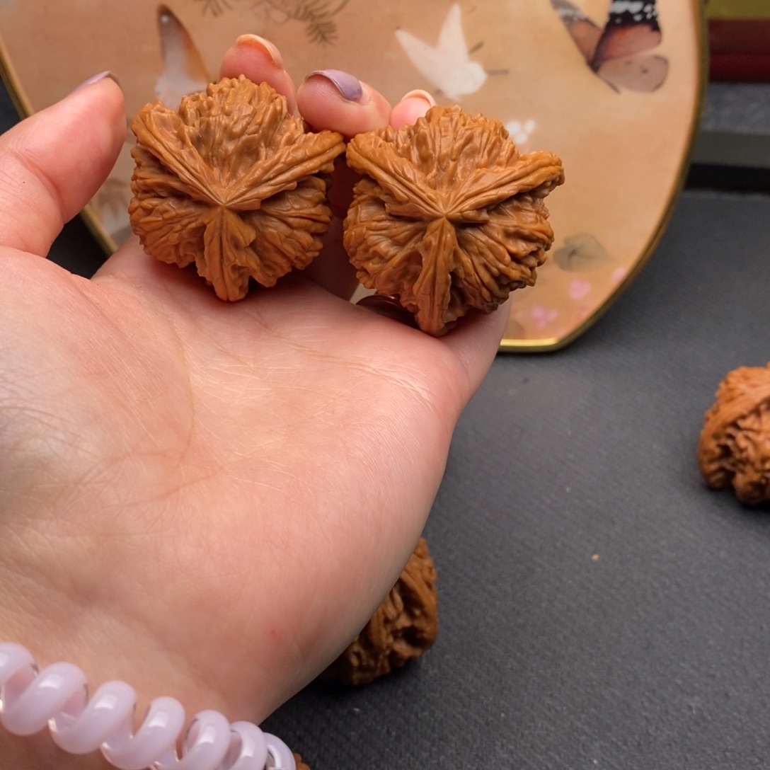 仧白狮子11111111