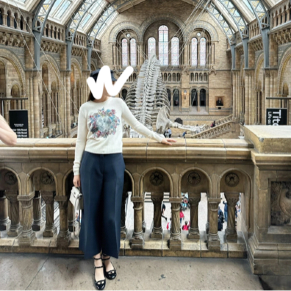 99新 DIOR/迪奥 羊绒毛衣 S 017271