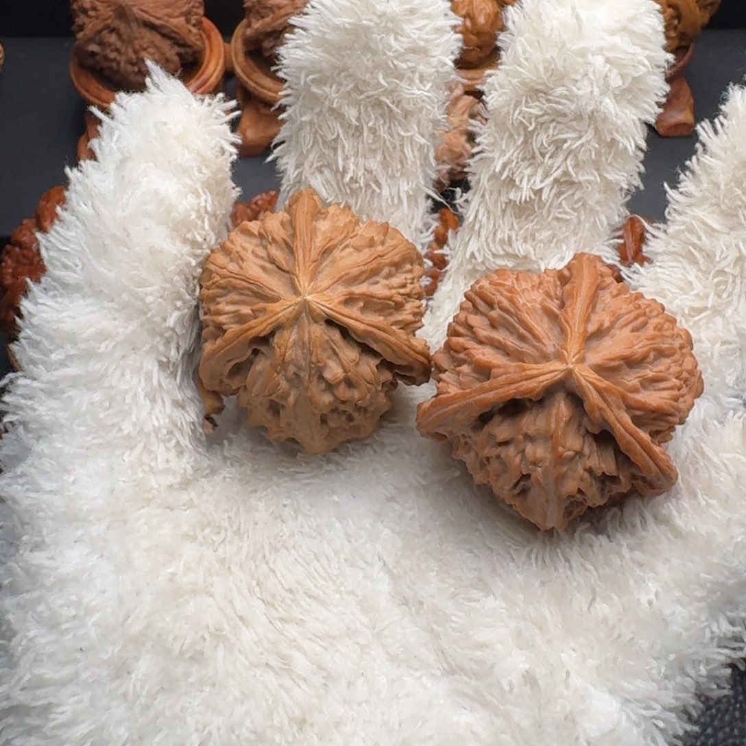 转***༒文玩核桃把件白狮子三棱，精品，运费自理