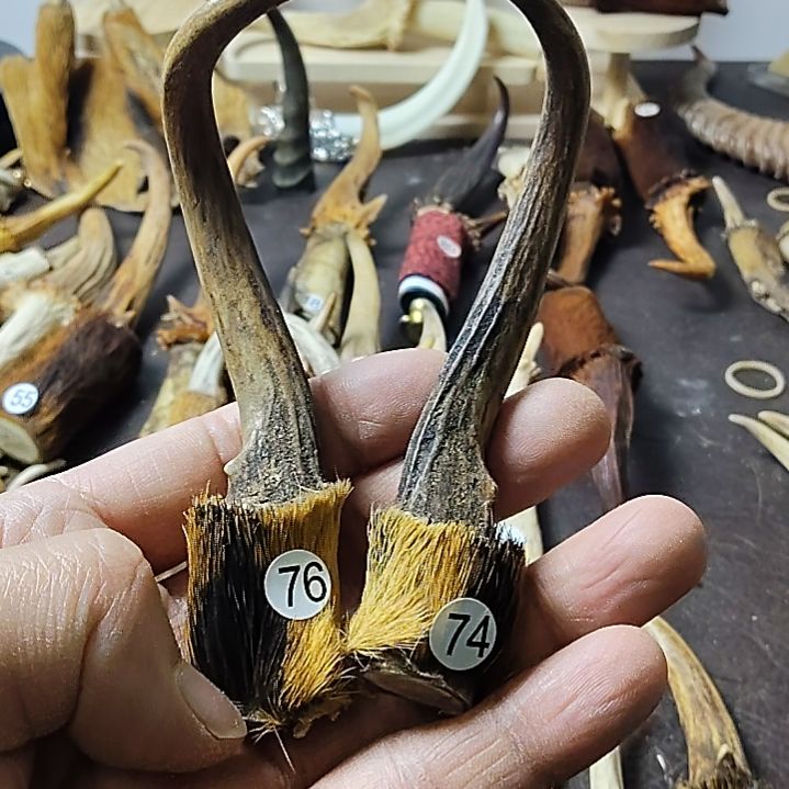 鹿缘坊直播间选货