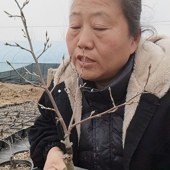 来***了无花朵12345655884558