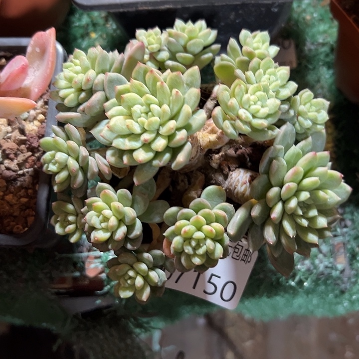 幸运的人会遇到你喜欢