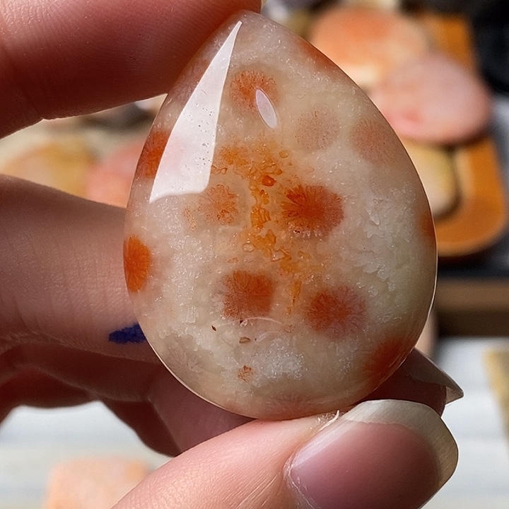 月***梢硅化珊瑚未镶嵌颈饰