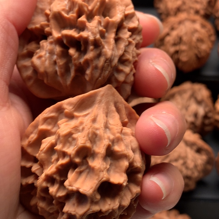 吊坠文玩核桃知**礼秦岭野生核桃大花