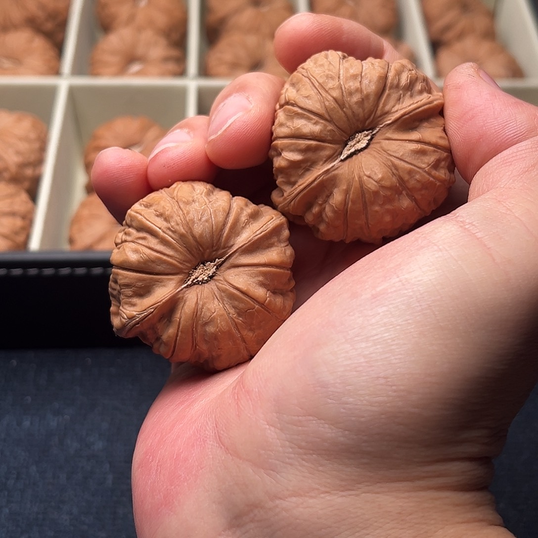 相***天文玩核桃把件530相信明天