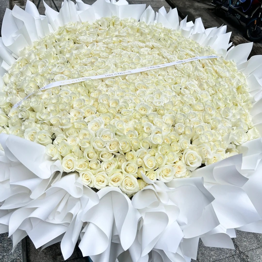 999朵白玫瑰巨型花束鲜花速递全国同城店配送女朋友生日求婚礼物