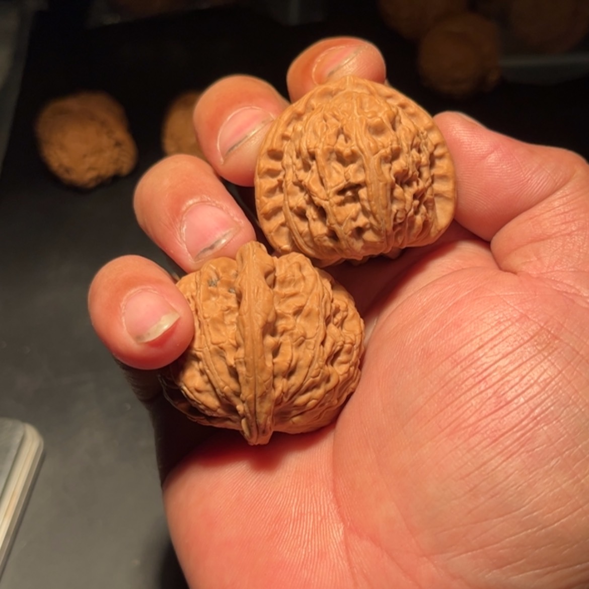 【闪购商品】O*o文玩核桃木制手把件