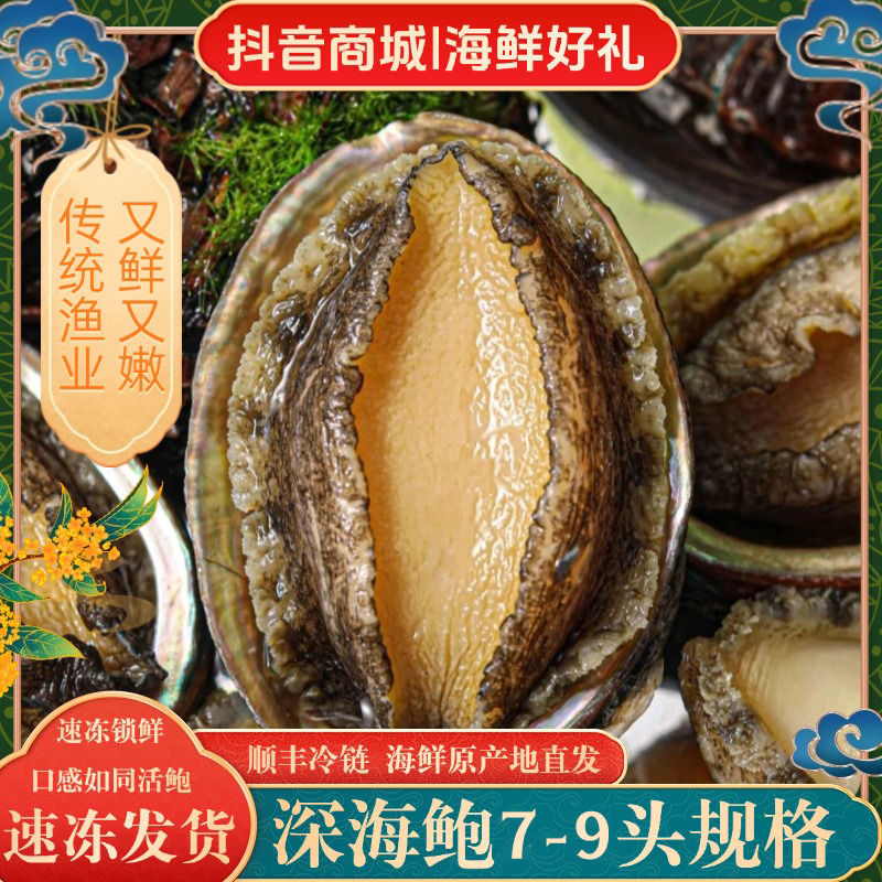 【丰鲍】7-9头鲍鱼6-7cm左右 东山岛深海活鲍液氮冷冻鲍鱼发货