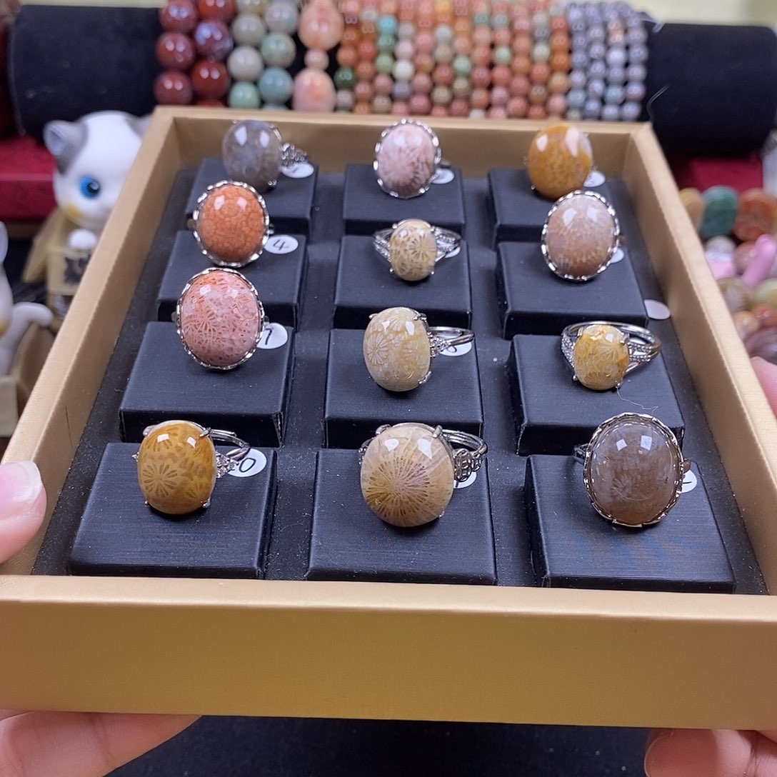 未镶嵌珊瑚玉硅化珊瑚（珊瑚玉）戒指 1