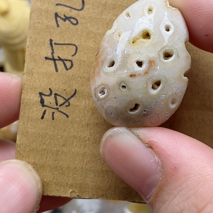 颈饰未镶嵌硅化珊瑚（珊瑚玉）有瑕