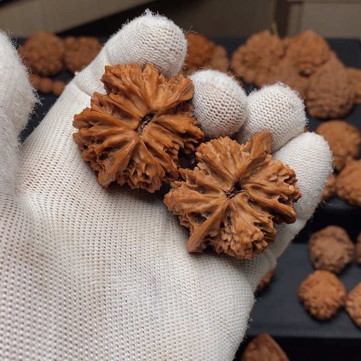 把件文玩核桃6***@秦岭野生鸡心连体