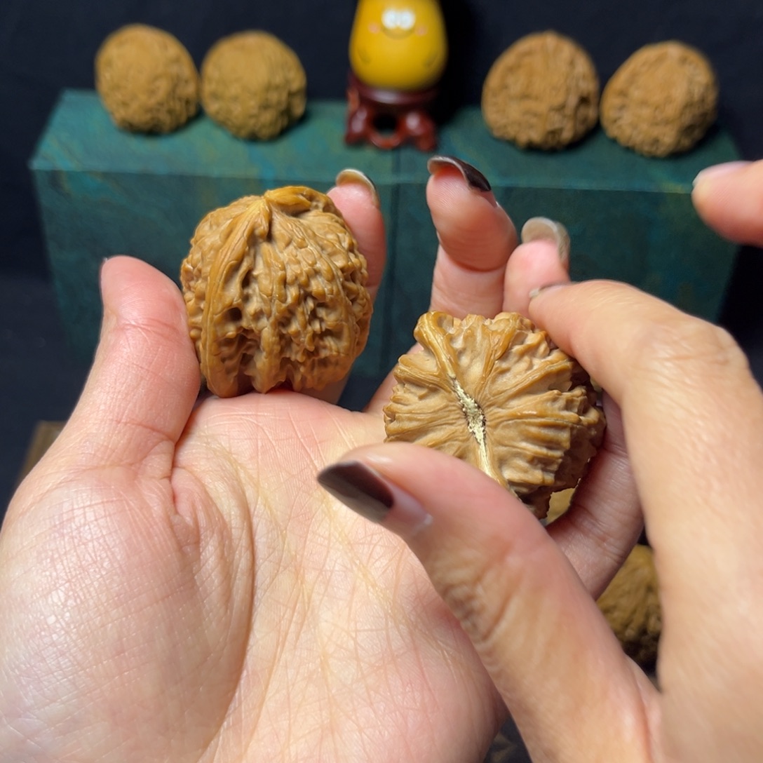 @***&核桃三角白1111221111