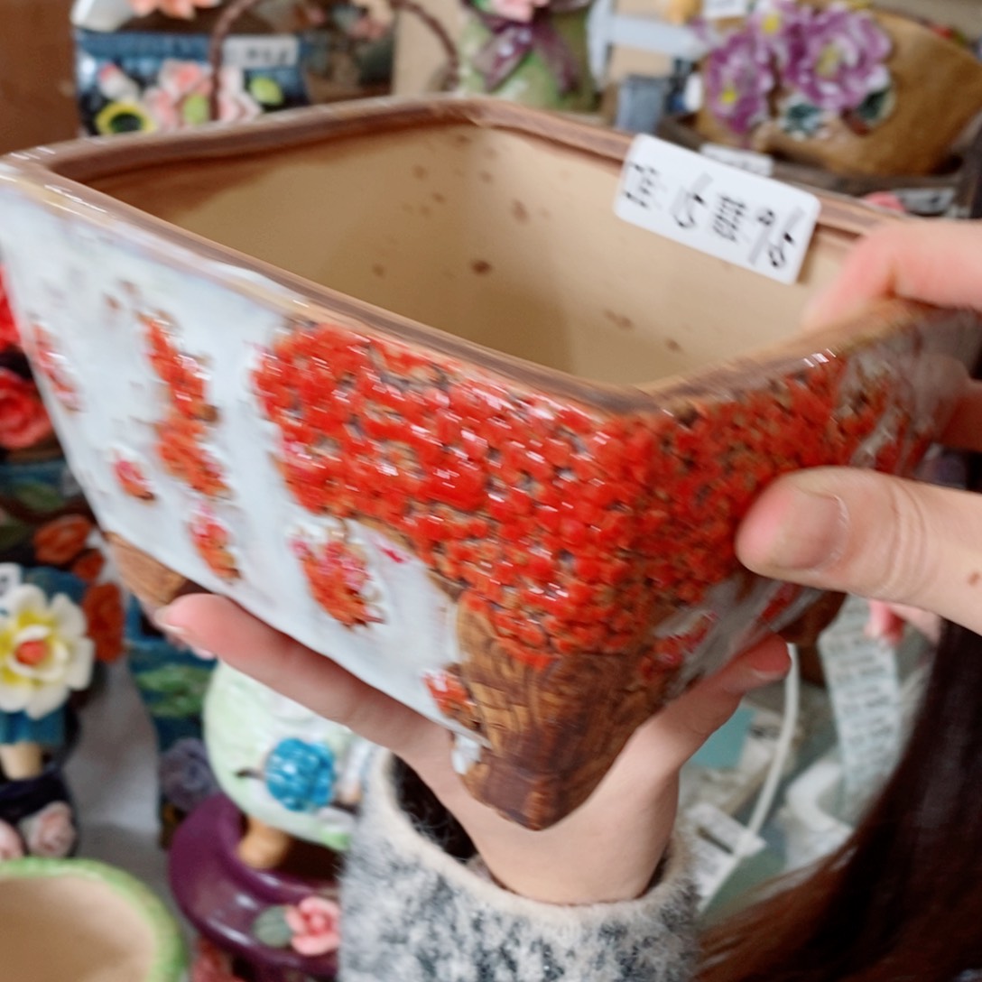 红陶福利福利福利新品