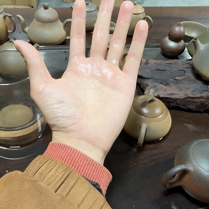 徐***齋紫砂茶壶坭兴陶柴烧