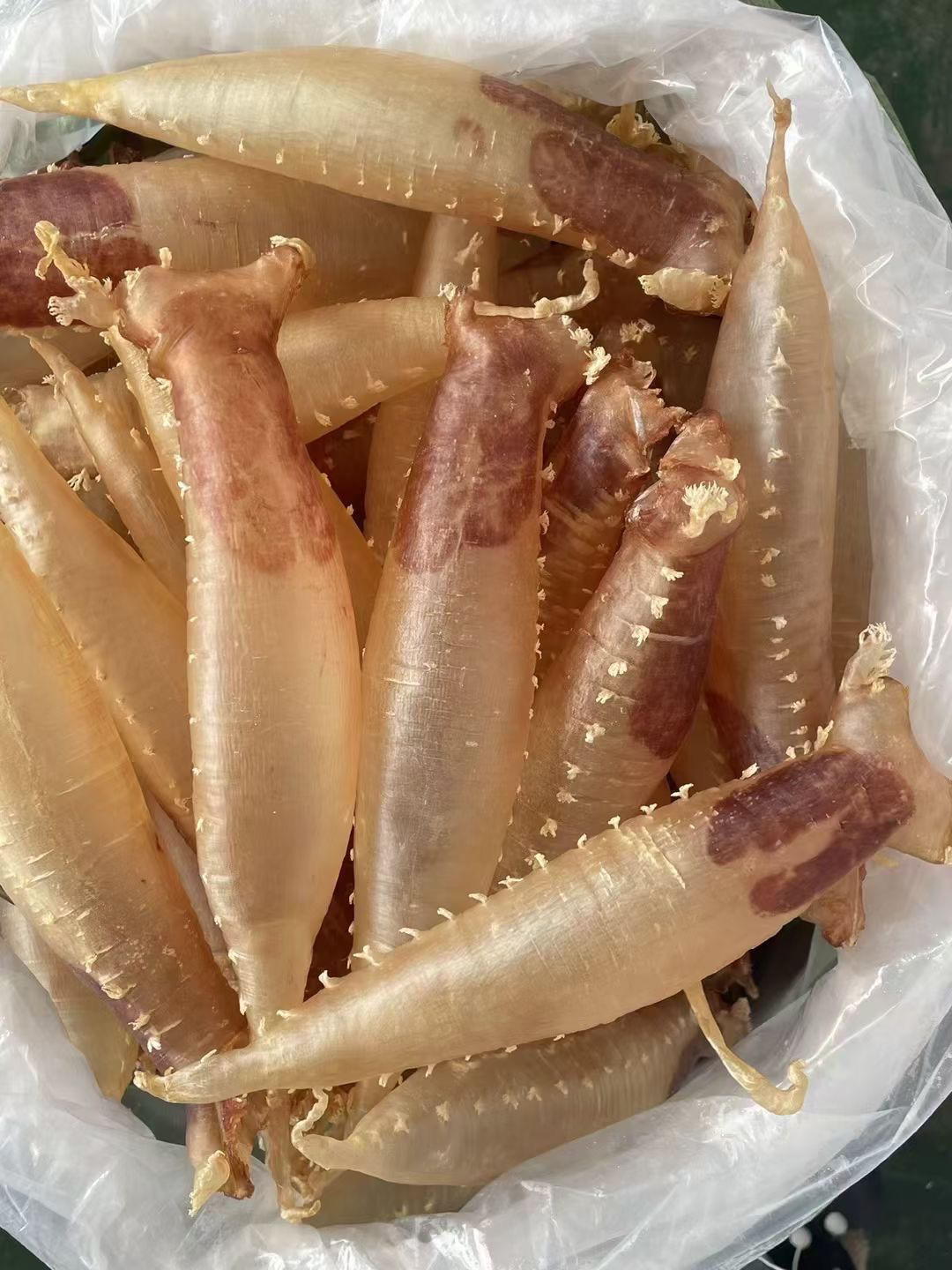 南澳本港深海赤嘴筒公母鱼胶孕期滋补鱼胶花胶炖牛奶，原生态