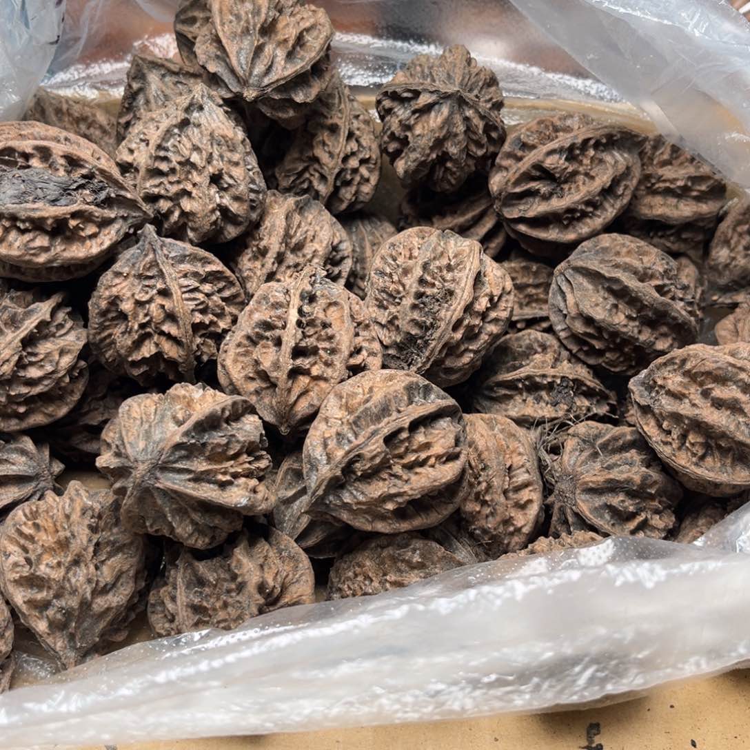 吊坠文玩核桃核桃45