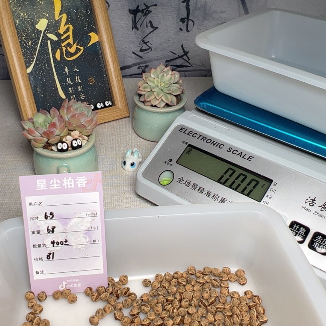 妖***柏香籽/百香籽吊坠