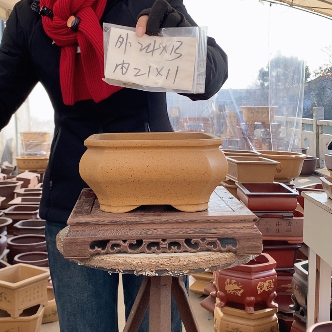 紫砂花盆紫砂花盆