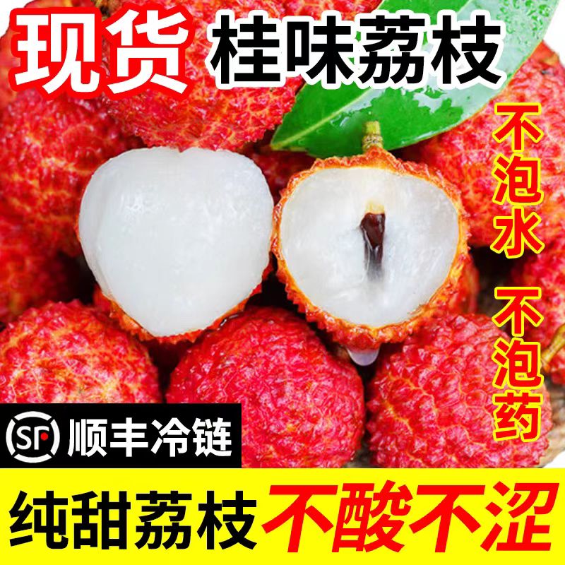 高州桂味荔枝广东茂名水果现摘现发当季水果百年老树整箱顺丰包邮