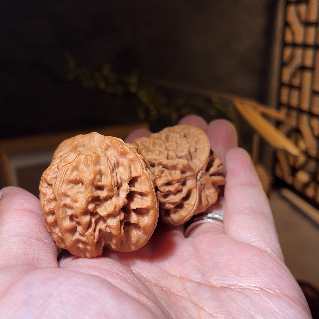 核桃手串/手链姥**腿38差1尺秦闷全品无修小磕尖