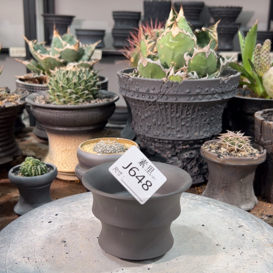 景德镇手工素里内口10高7