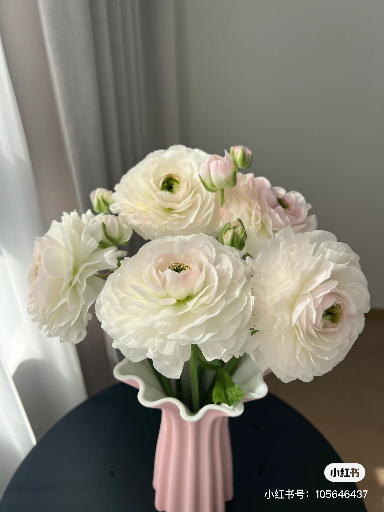 【洋牡丹】白荔枝 任拍三单顺丰空运包邮鲜切花家居花店插花