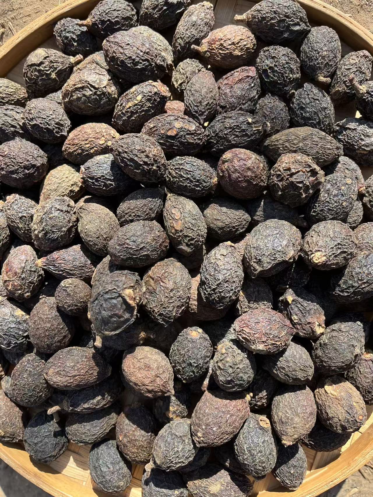 【主播精选】云南山货  九香帝王普提 2