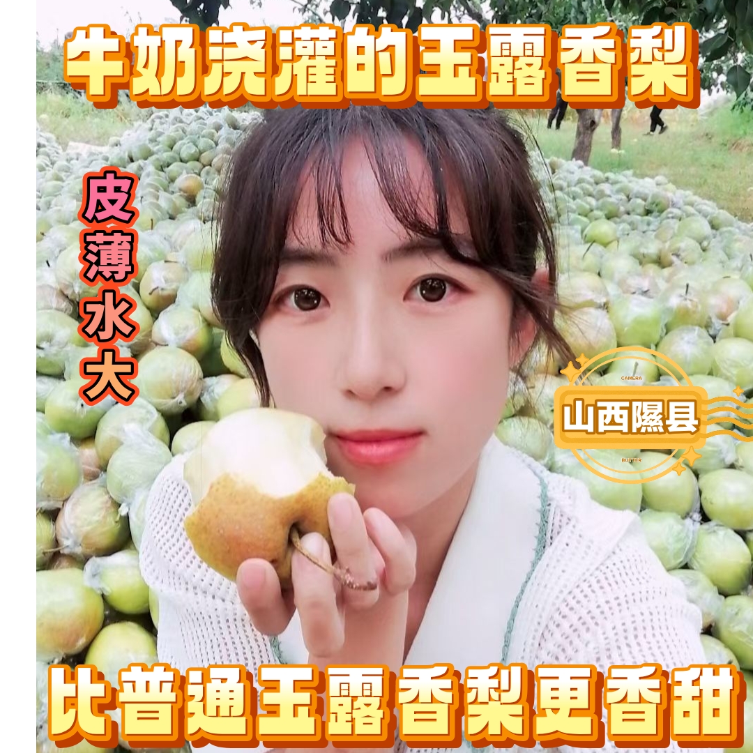 隰县玉露香梨正宗新鲜当季脆甜多汁化渣山西省
