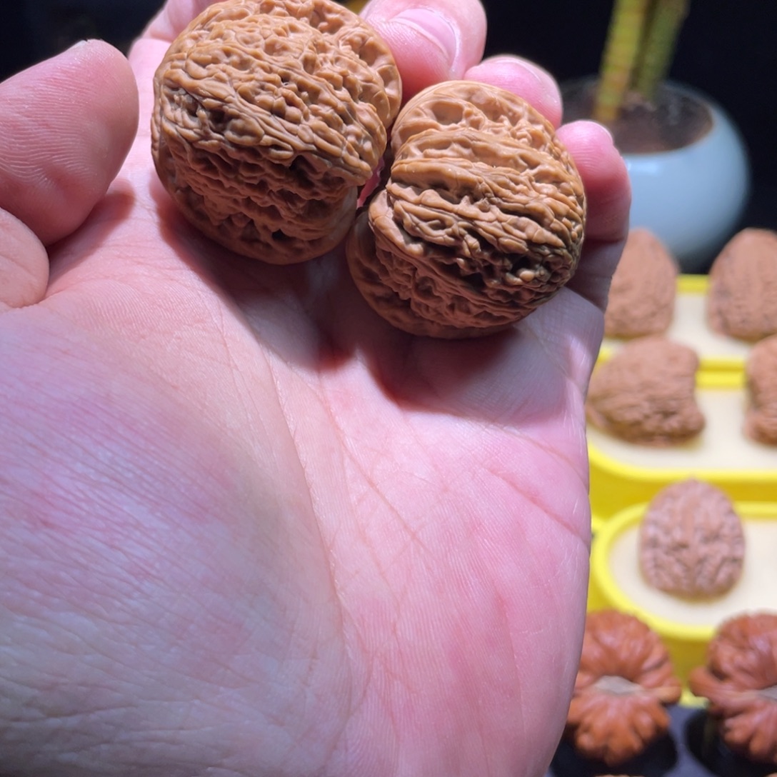 文玩核桃把件37.5全品老款红宝石满拉丝