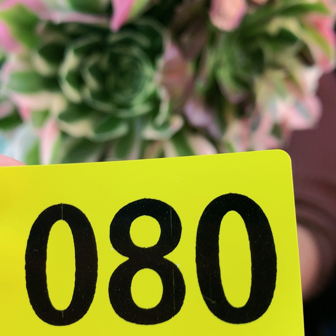 Ssssssssssssssssssss80
