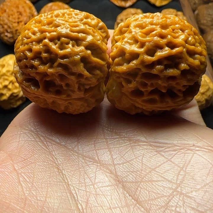 文玩核桃把件龙鳞秀球37尺