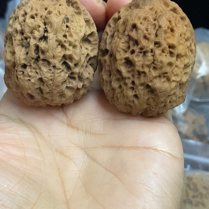 把件文玩核桃云南铁核桃基地36