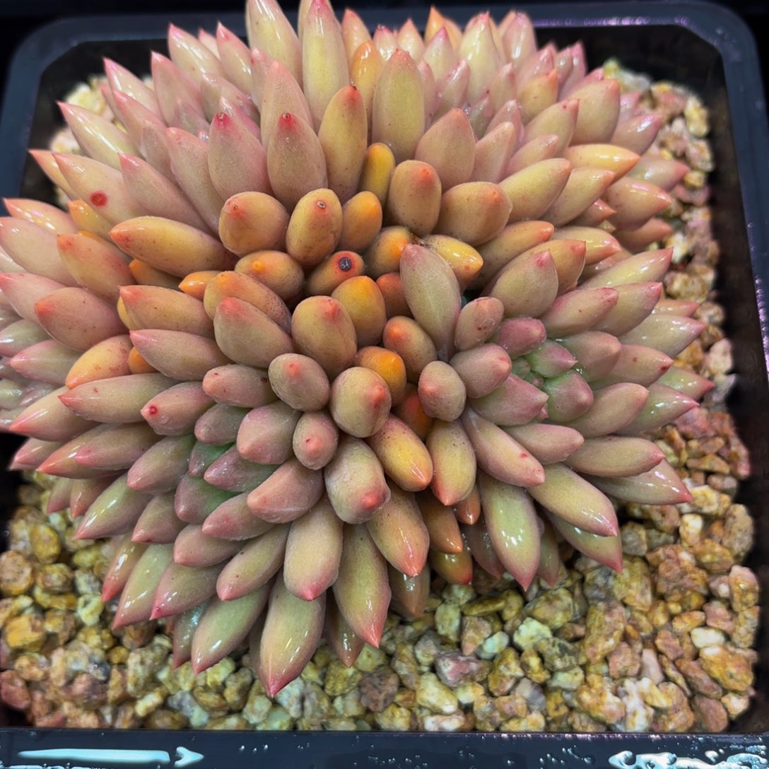 Hhjkkjhhhhhjjvhhjjhhhhhhj