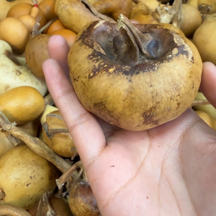 印***居啊啊啊啊啊啊啊啊啊