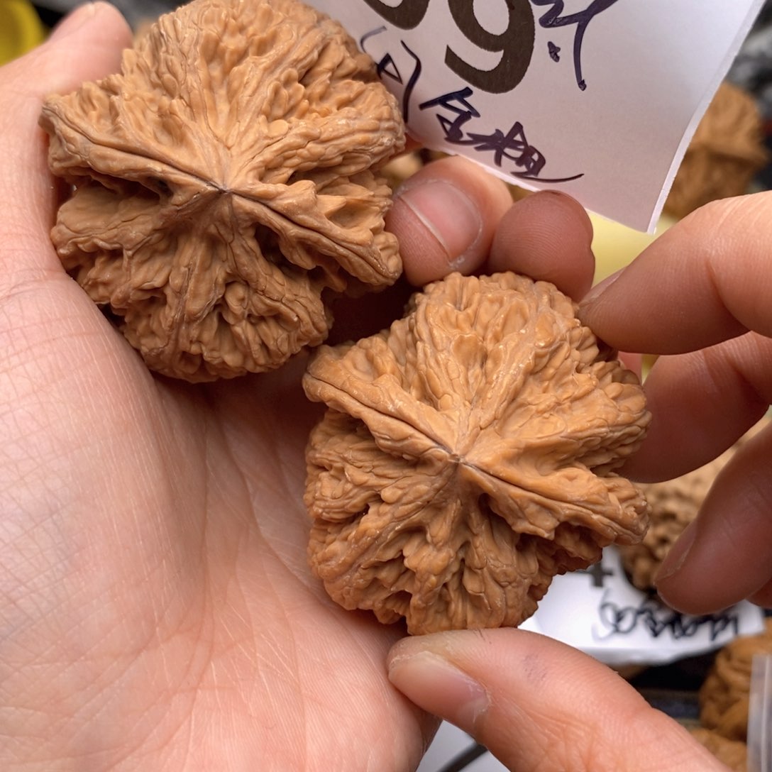 文玩核桃把件199号线47粗筋