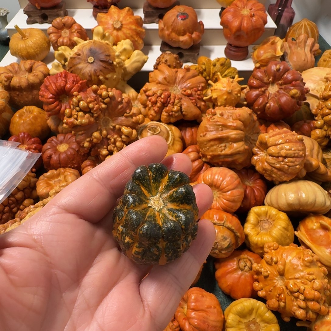 ****墨西哥葫芦原皮钱袋子