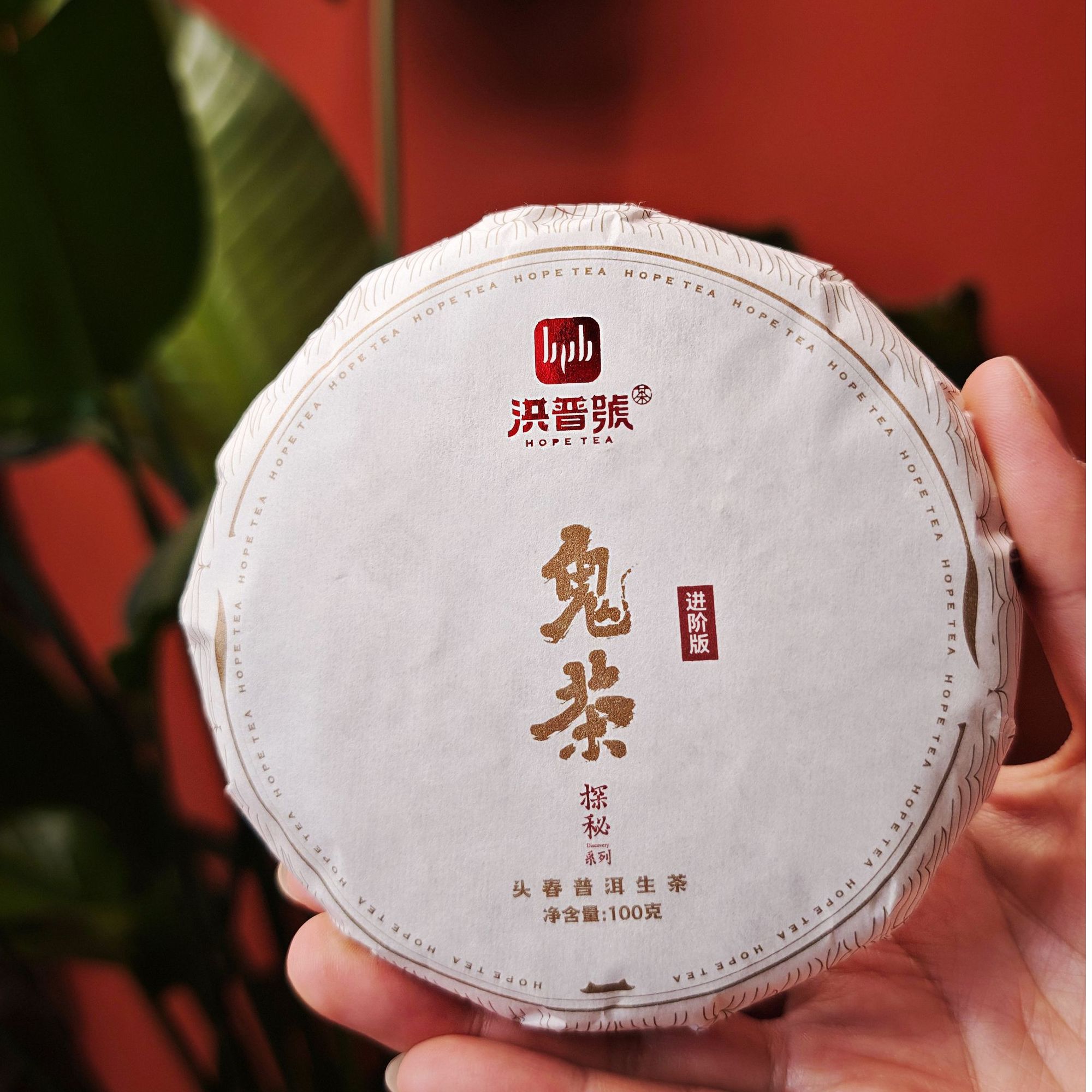 2024年头春古树 精微产区【招牌鬼茶】进阶版 生茶100g