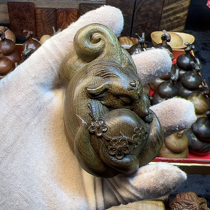 楠木金丝楠木小叶