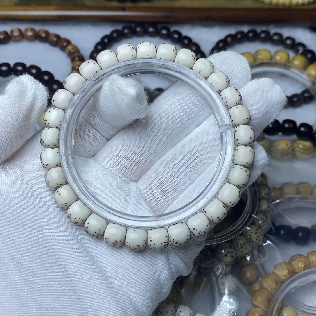 星月菩提手串87灰背河豚头条