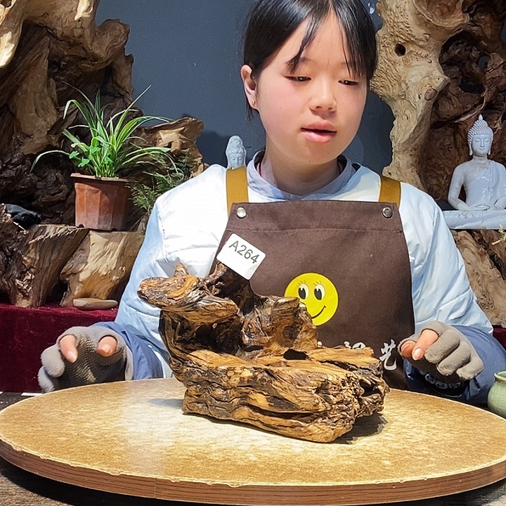 喜****欢264株木随行的小根艺