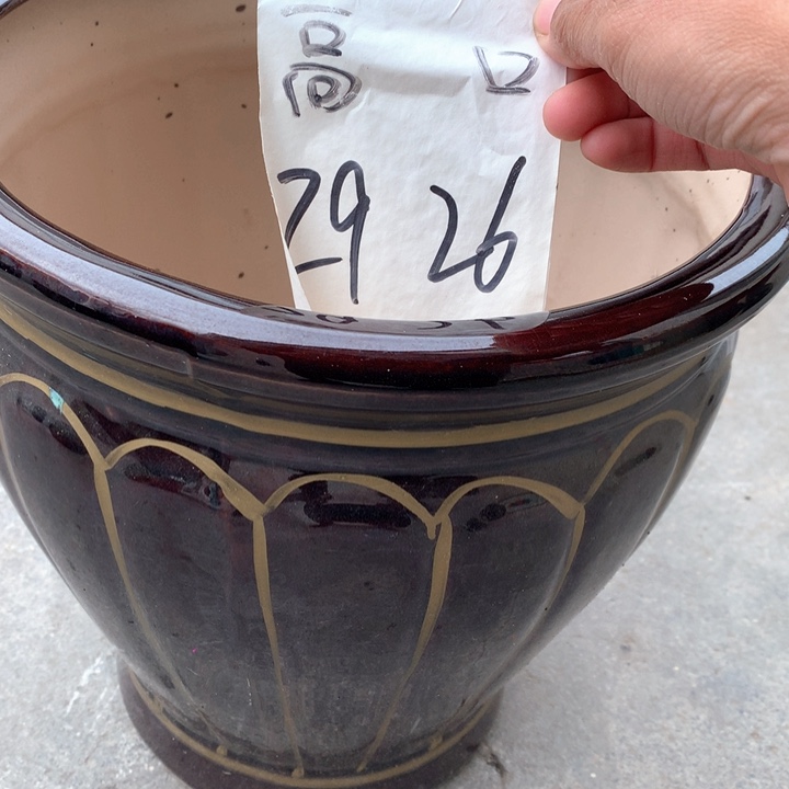 花盆陶瓷中号南瓜